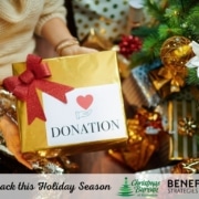 Image of person by a Christmas tree with a box marked "Donation"